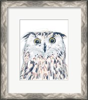 Framed 'Funky Owl Portrait II' border=