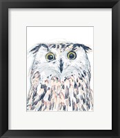 Framed 'Funky Owl Portrait II' border=