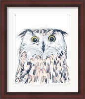 Framed Funky Owl Portrait II
