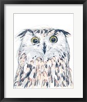 Funky Owl Portrait II Framed Print