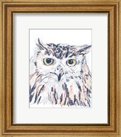 Framed 'Funky Owl Portrait III' border=