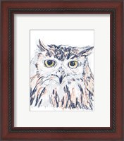 Framed 'Funky Owl Portrait III' border=