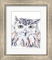 Framed Funky Owl Portrait III