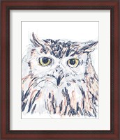 Framed Funky Owl Portrait III