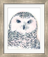 Framed 'Funky Owl Portrait IV' border=