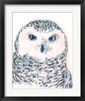 Framed 'Funky Owl Portrait IV' border=