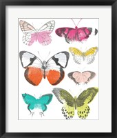 Chromatic Butterflies I Framed Print