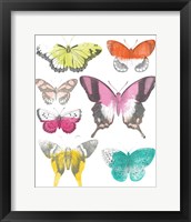 Framed 'Chromatic Butterflies II' border=