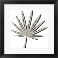 Cut Paper Palms IV Framed Print