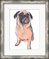 Framed Dog Portrait--Dave