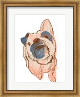 Framed Dog Portrait--Bobo