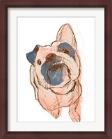 Framed Dog Portrait--Bobo