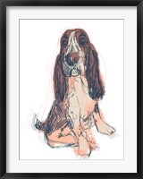 Framed Dog Portrait--Ajax