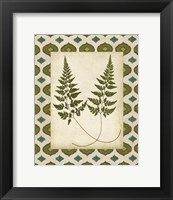 Framed Moroccan Ferns I