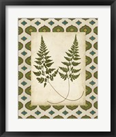 Framed 'Moroccan Ferns I' border=
