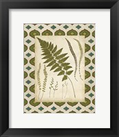 Framed Moroccan Ferns II