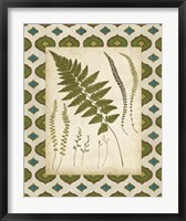 Framed Moroccan Ferns II