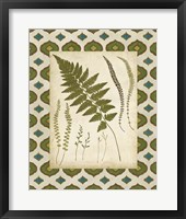 Framed Moroccan Ferns II