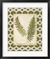 Framed Moroccan Ferns III