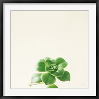 Framed Succulent Simplicity VII Neutral