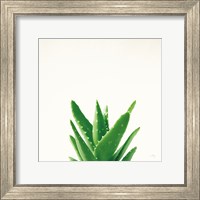 Framed Succulent Simplicity V Neutral