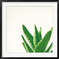 Framed Succulent Simplicity VI Neutral