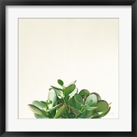 Framed Succulent Simplicity III Neutral