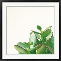 Framed Succulent Simplicity IV Neutral