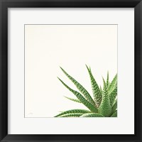 Framed Succulent Simplicity II Neutral