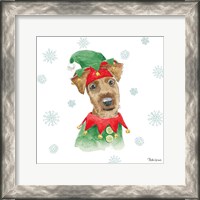 Framed Holiday Paws VII