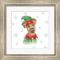 Framed 'Holiday Paws VII' border=