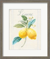 Framed Floursack Lemon III v2
