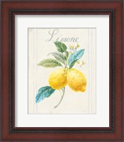 Framed Floursack Lemon III v2