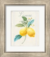 Framed Floursack Lemon III v2