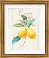 Framed 'Floursack Lemon III v2' border=