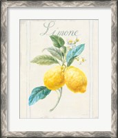 Framed 'Floursack Lemon III v2' border=