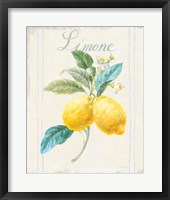 Framed 'Floursack Lemon III v2' border=