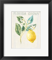 Framed 'Floursack Lemon I v2' border=