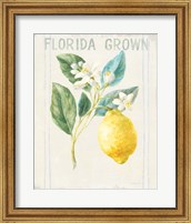 Framed Floursack Lemon I v2