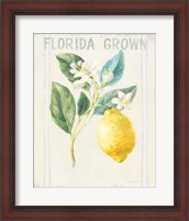 Framed Floursack Lemon I v2