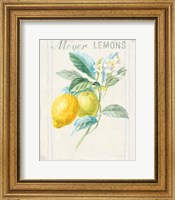 Framed Floursack Lemon II v2