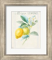 Framed Floursack Lemon II v2