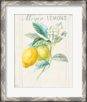 Framed 'Floursack Lemon II v2' border=