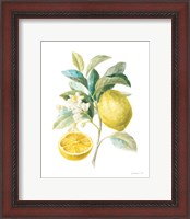 Framed Floursack Lemon III on White