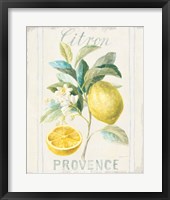 Floursack Lemon IV Framed Print