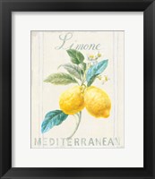 Framed 'Floursack Lemon III' border=