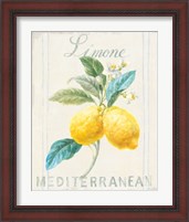 Framed 'Floursack Lemon III' border=
