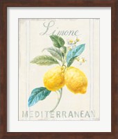 Framed Floursack Lemon III