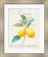 Framed Floursack Lemon III