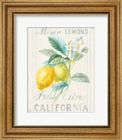 Framed Floursack Lemon II